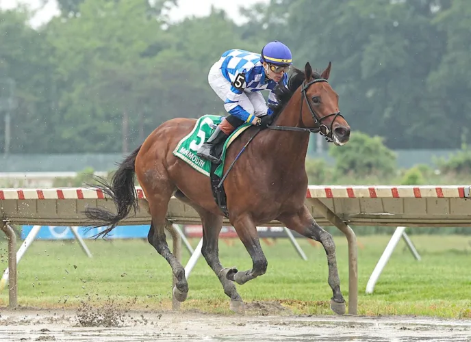 Bracket Buster highlights Derby undercard